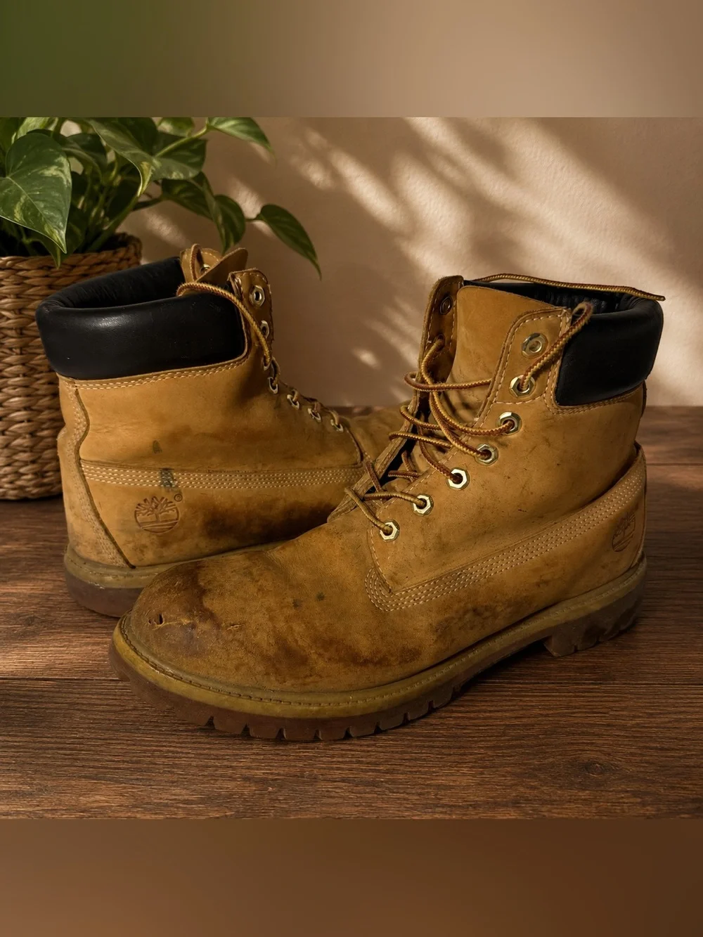 Timberland Premium 6-Inch Waterproof Boots Men’s 12M Wheat Nubuck 10061